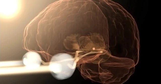 MÉCANISME DU SOMMEIL - House Of Dreamz