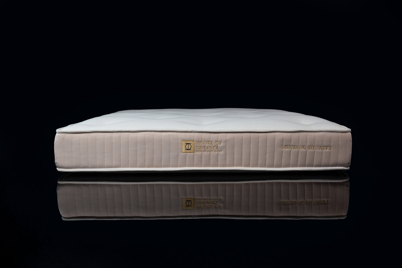 Not for everyone - MUSTANG DYNASTY