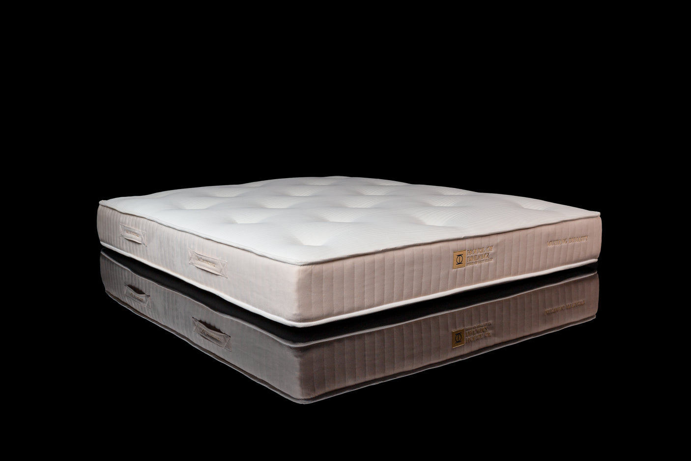 Not for everyone - MUSTANG DYNASTY