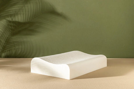 House Of Dreamz - Oreiller de soutien cervical en latex naturel